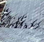 snow retention system